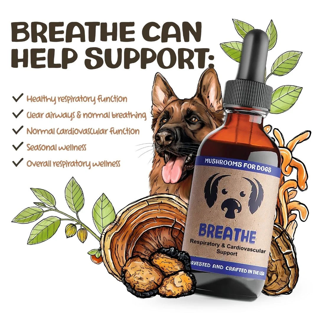 Breathe by MycoDog – Mushroom & Adaptogen Tincture for Dogs (Respiratory & Heart Support)