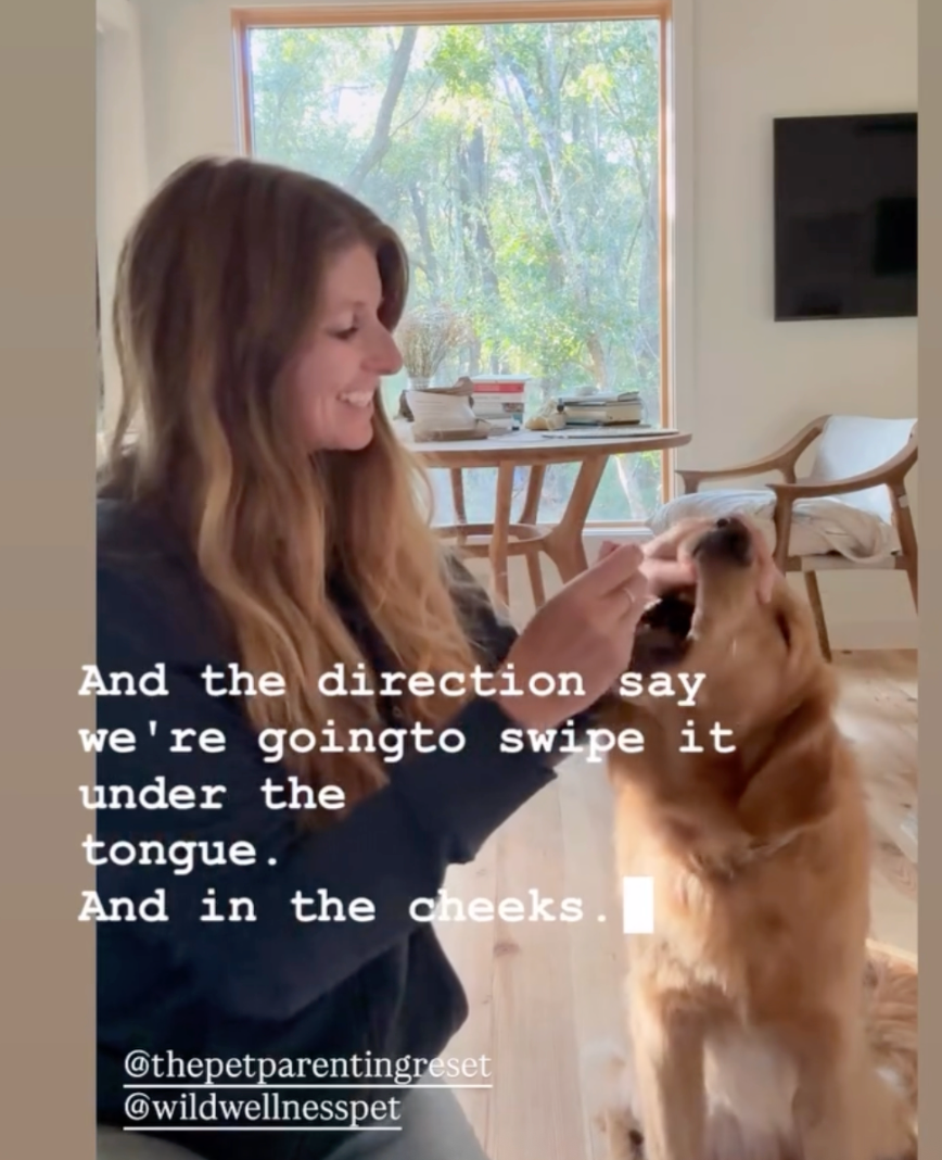 Bioenergetic Sensitivity Testing for Dogs, Full Scan - Wild Wellness powered by Pet Medella