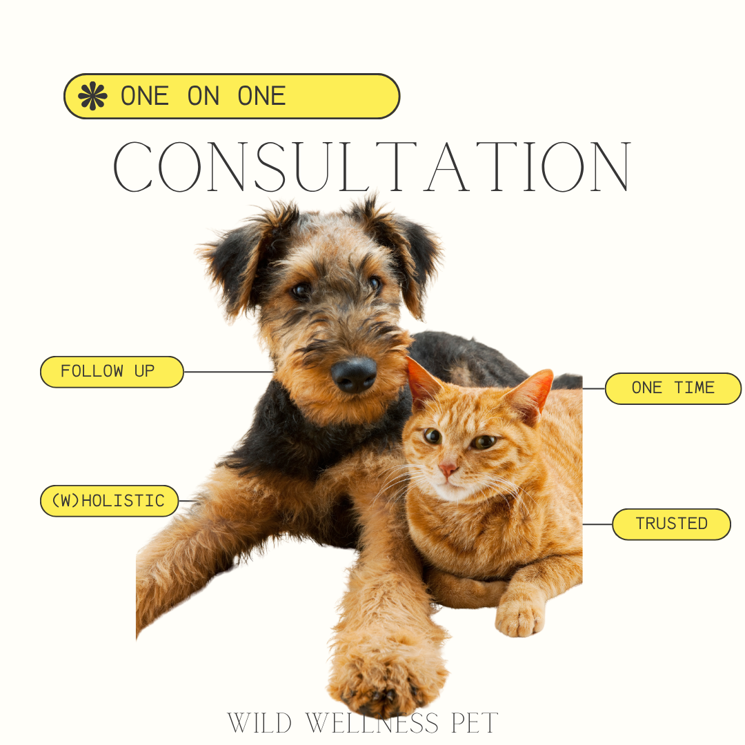 Pet Health & Nutrition Consultation - Single Call