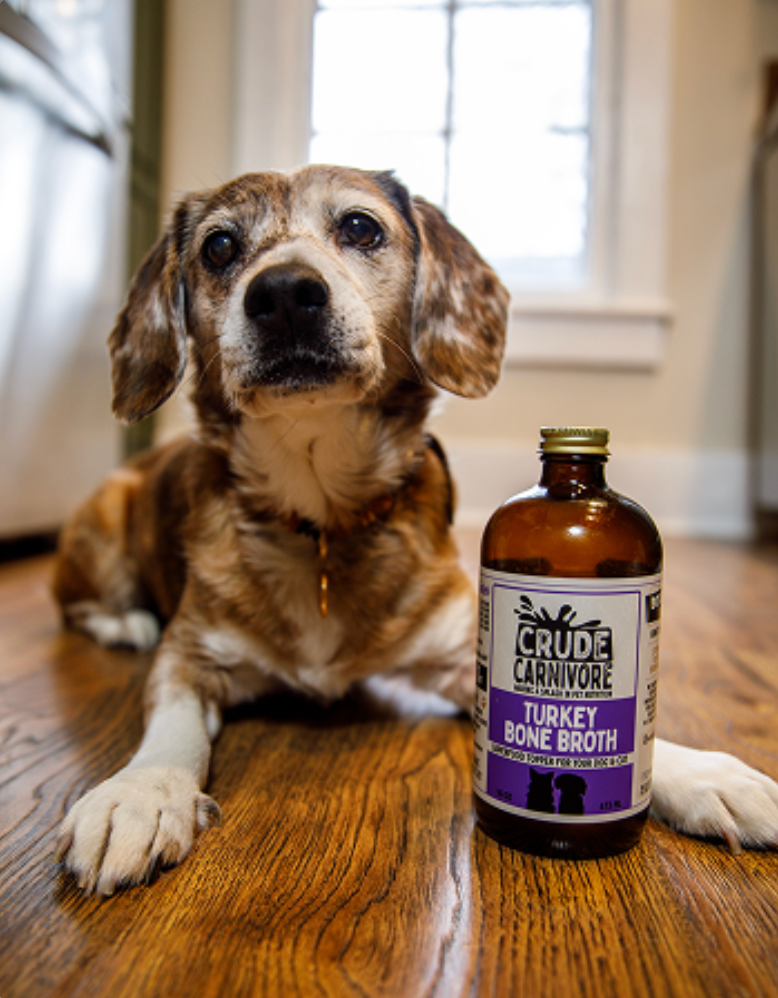 Crude Carnivore Bone Broth for Dogs & Cats