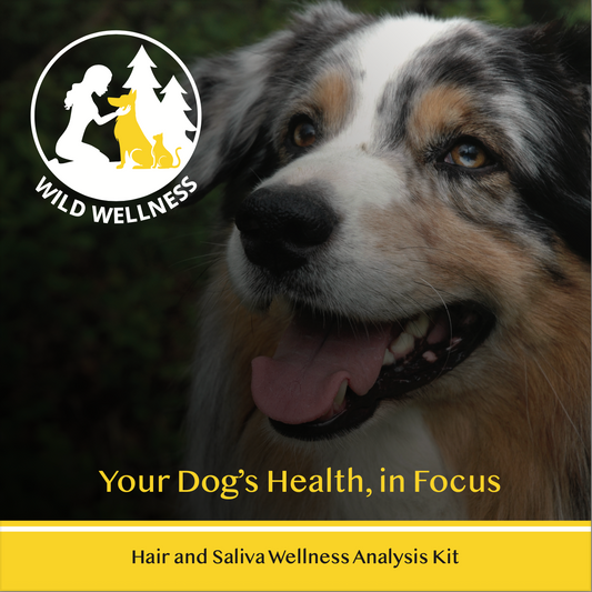 Bioenergetic Sensitivity Testing for Dogs, Full Scan - Wild Wellness powered by Pet Medella