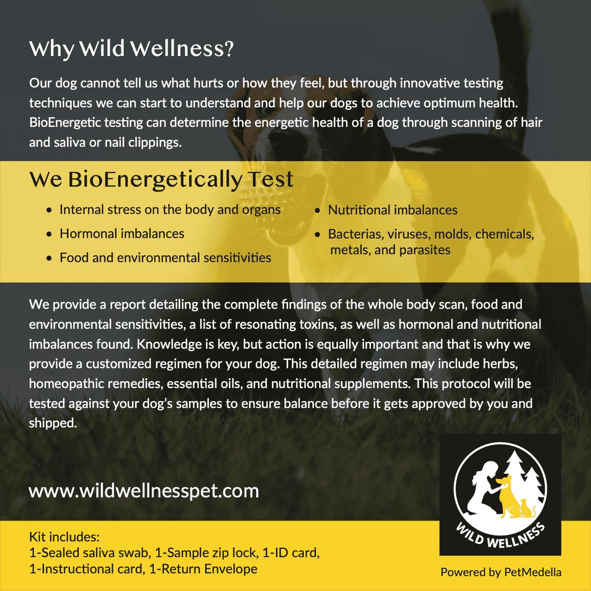 Bioenergetic Sensitivity Testing for Dogs, Full Scan - Wild Wellness powered by Pet Medella - Wild Wellness Pet