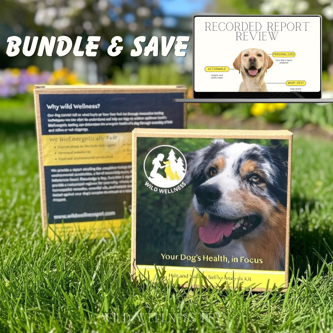 Wild Wellness Bioenergetics Bundle – Test Kit + Recorded Report Review
