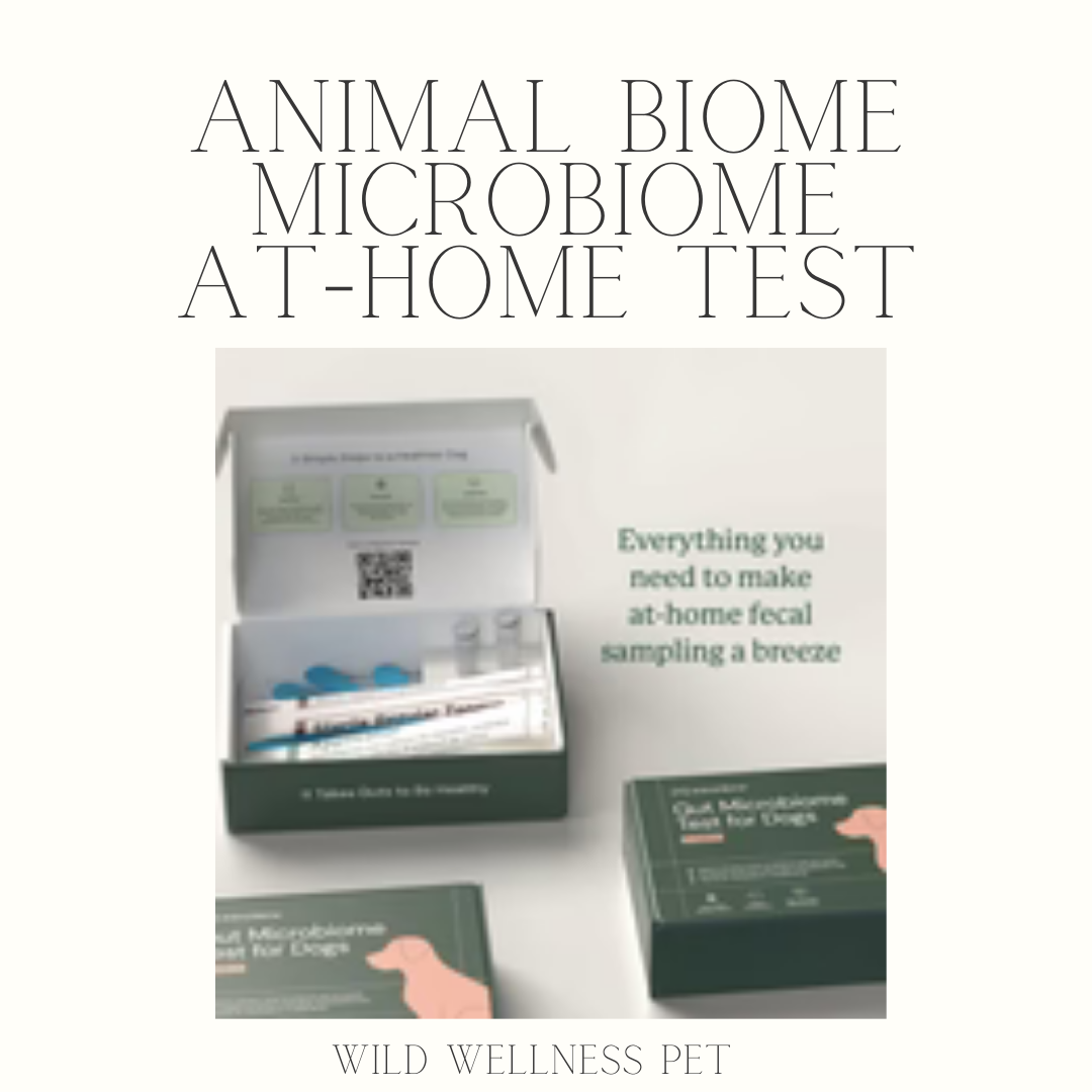 Gut Microbiome At Home Test Kit from Animal Biome