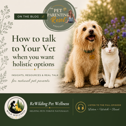 How to Talk to Your Vet When You Want to Go Holistic