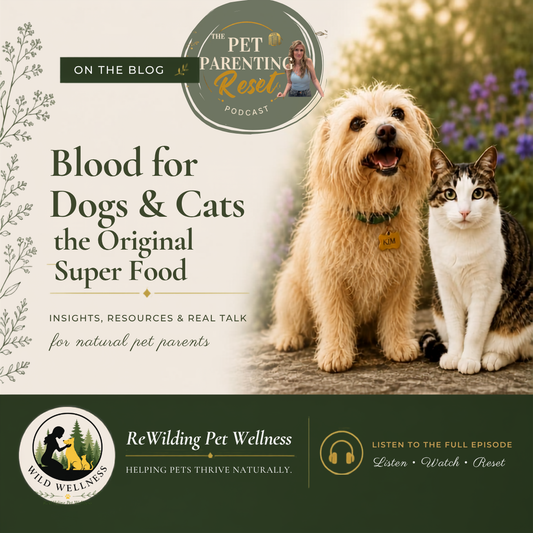 Blood for Dogs & Cats: The Original Superfood