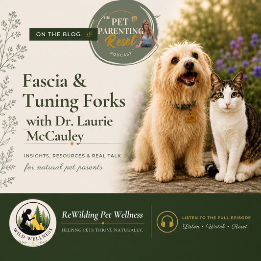 Fascia & Tuning Fork Therapy for Dogs: The Missing Piece