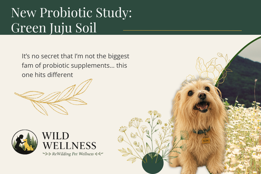 How Green Juju’s Soil Probiotic Improved Dog Gut Health: New Study Results with Innovative Pet Lab