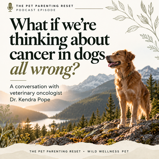 Canine Cancer Prevention: A Vet Oncologist's Rewilding Take