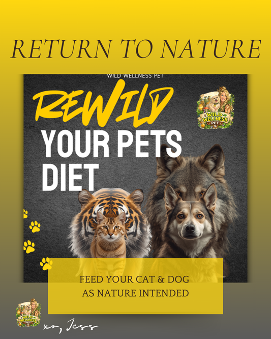 Rewild Your Pet’s Diet: A New Way to Feed Dogs & Cats