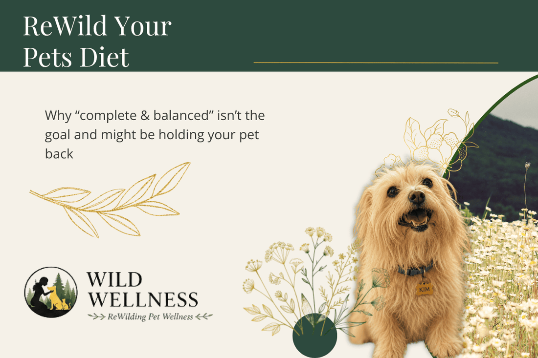 Rewild Your Pet’s Diet: A New Way to Feed Dogs & Cats - Wild Wellness Pet