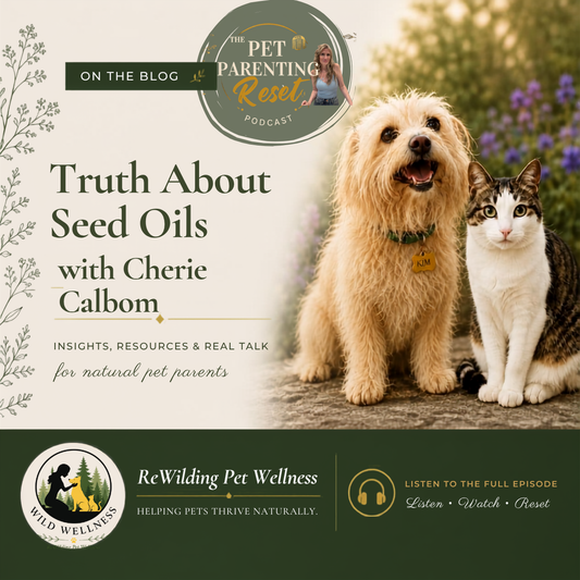 The Truth About Seed Oils (And Why Your Dog's Bowl Is Full of Them)