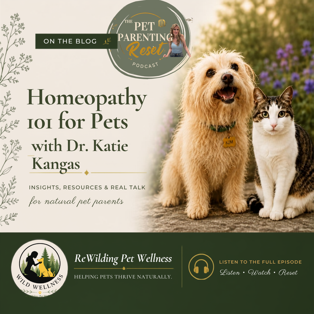 Homeopathy for Pets 101: What It Is (And Isn't)