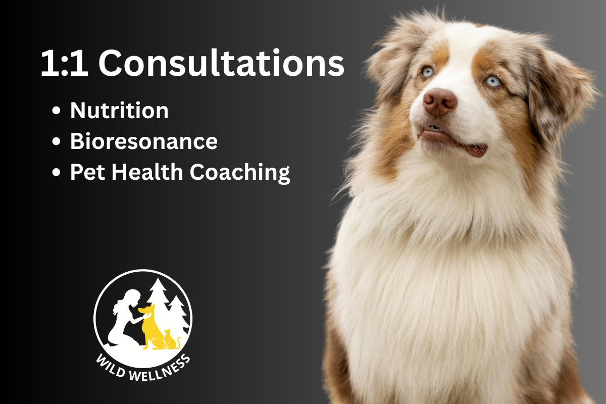Consultations