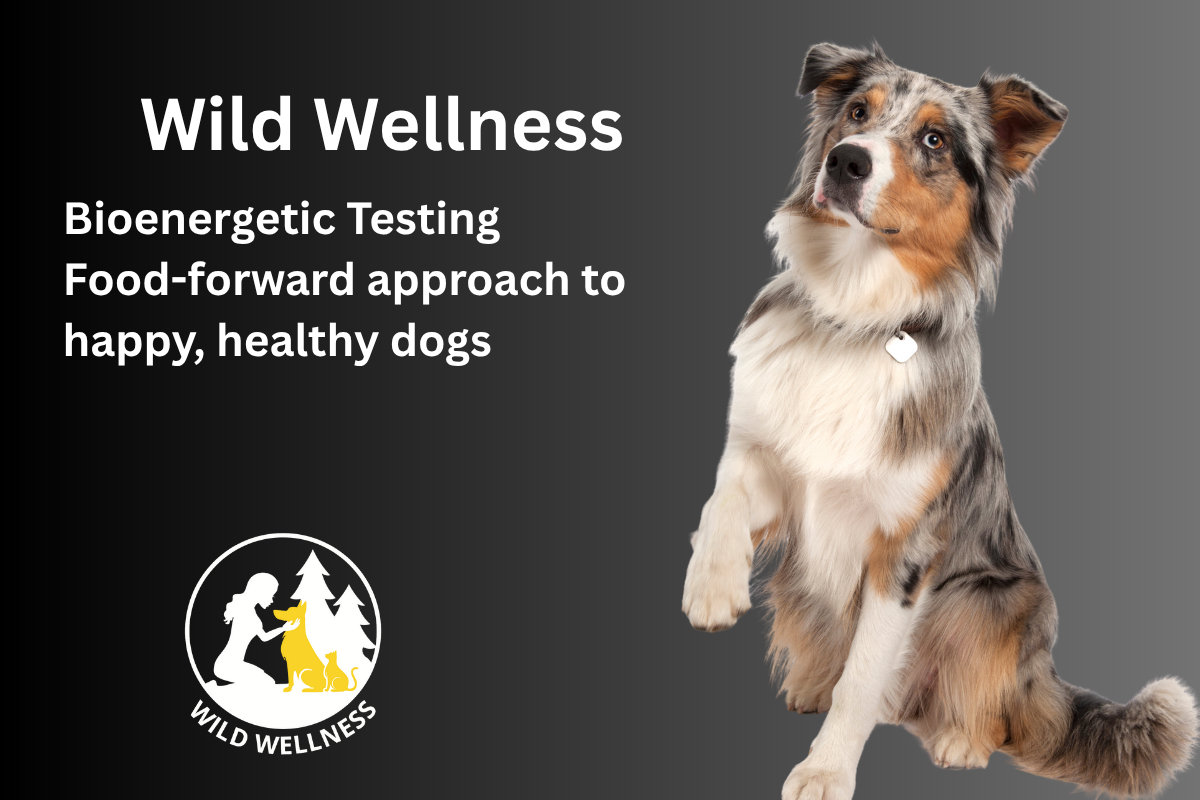 Wild Wellness