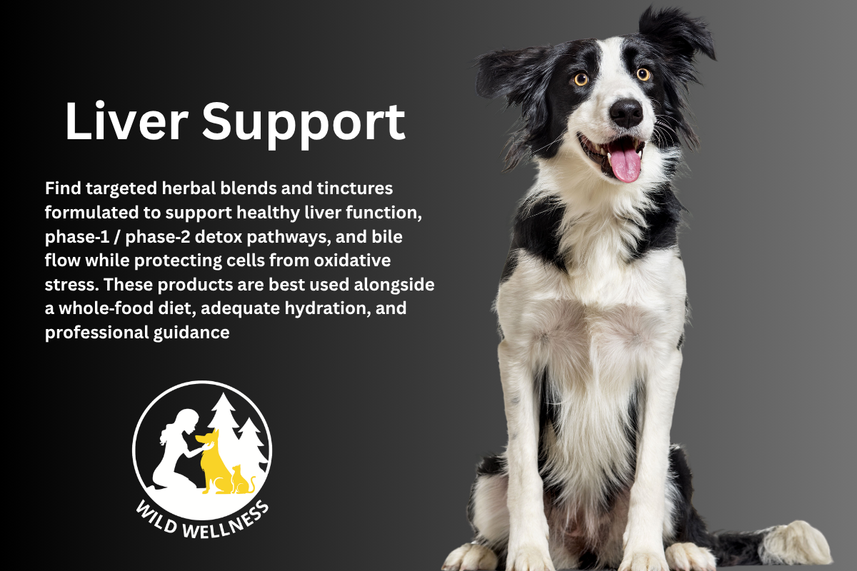 Liver Support