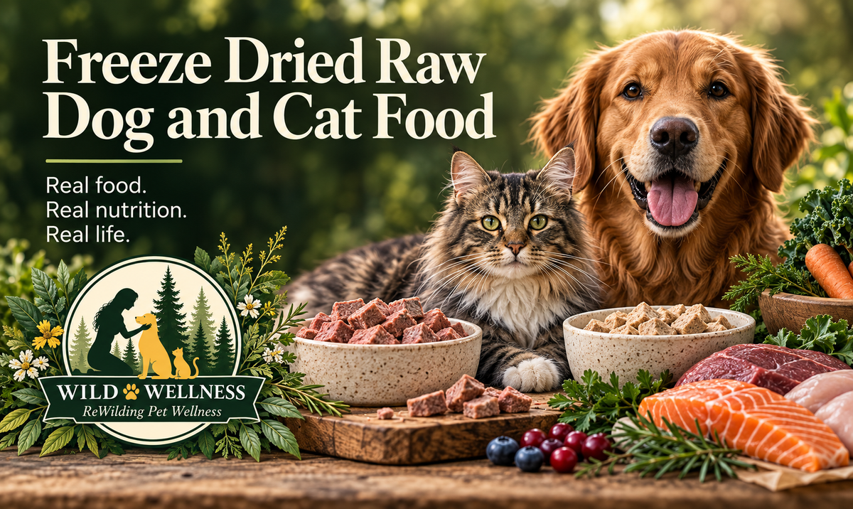 Freeze Dried Raw Dog and Cat Food
