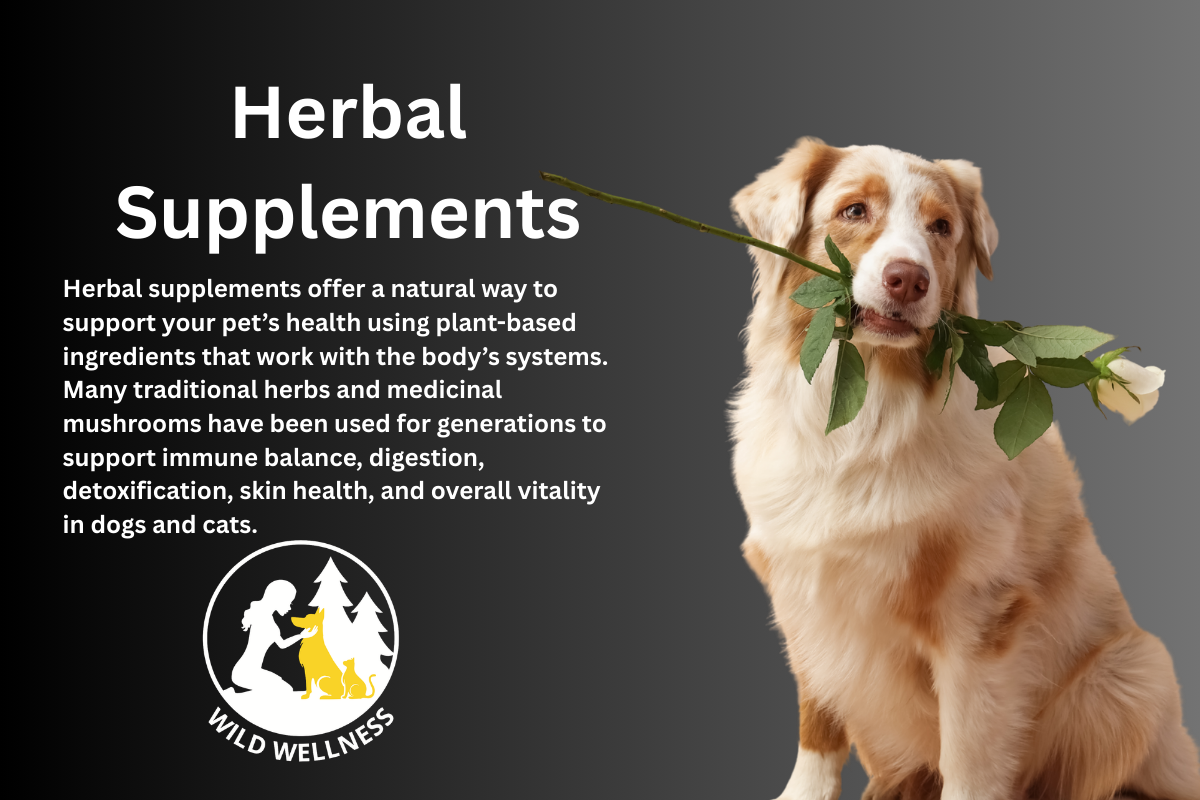 Herbal Supplements