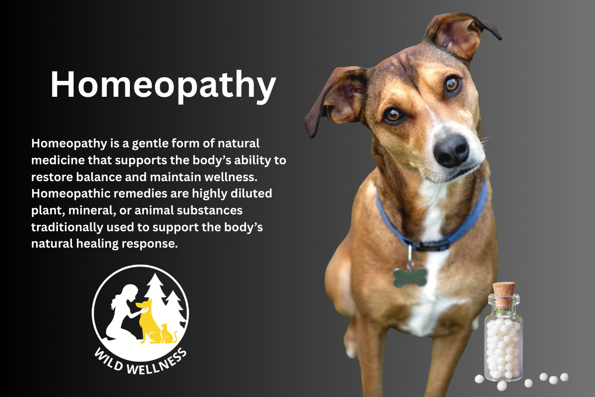Homeopathy