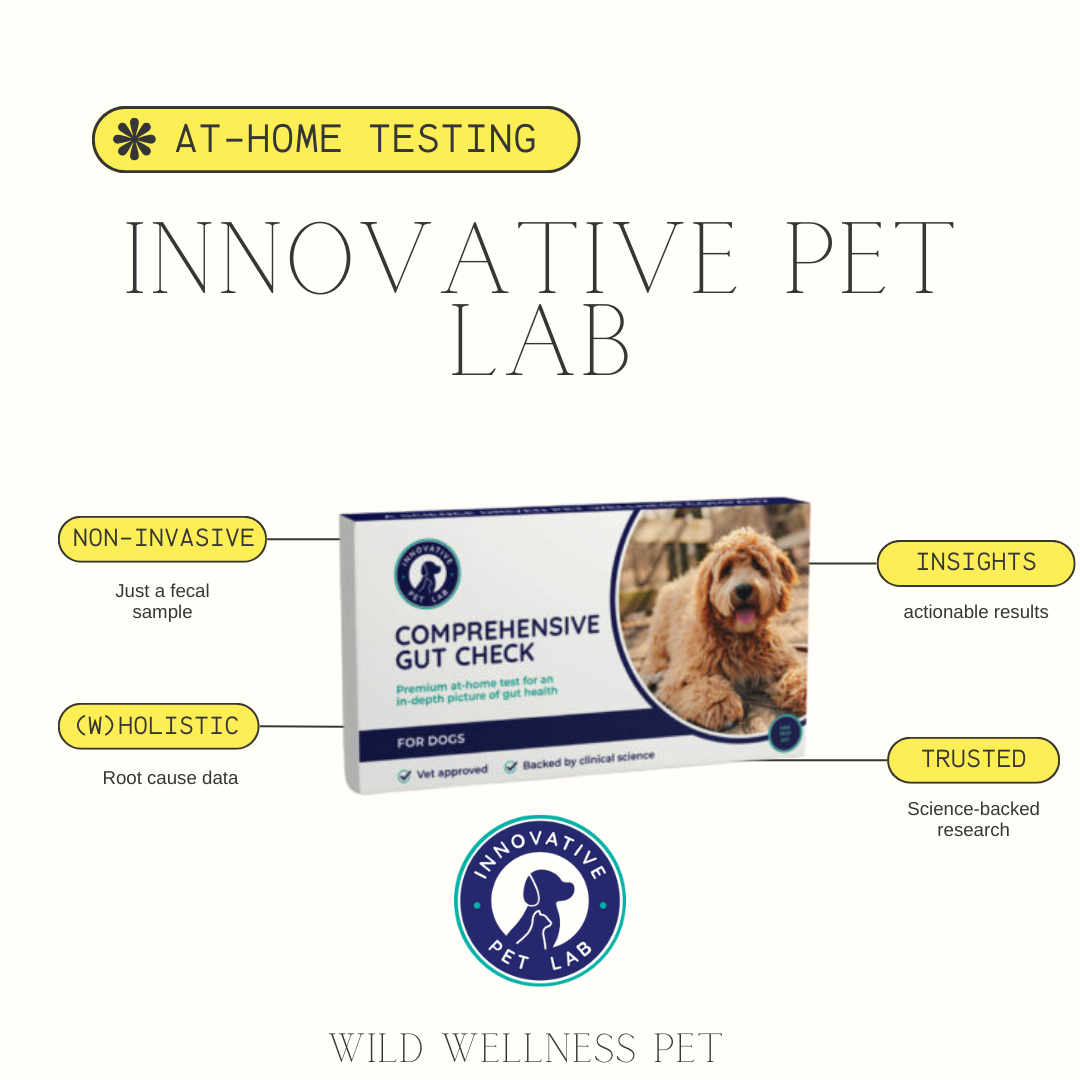 Comprehensive Gut Health Test for Dogs & Cats - Innovative Pet Lab