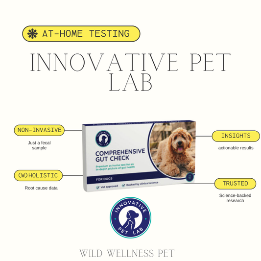Comprehensive Gut Health Test for Dogs - Innovative Pet Lab