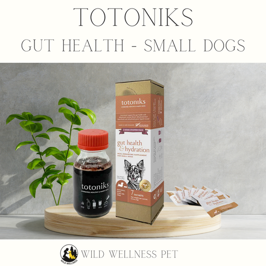 Totoniks Gut Health + Hydration — Small Dogs (Starter or Refill)