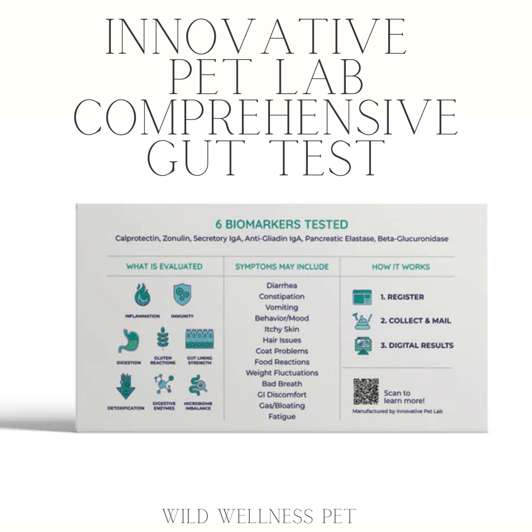 Comprehensive Gut Health Test for Dogs & Cats - Innovative Pet Lab