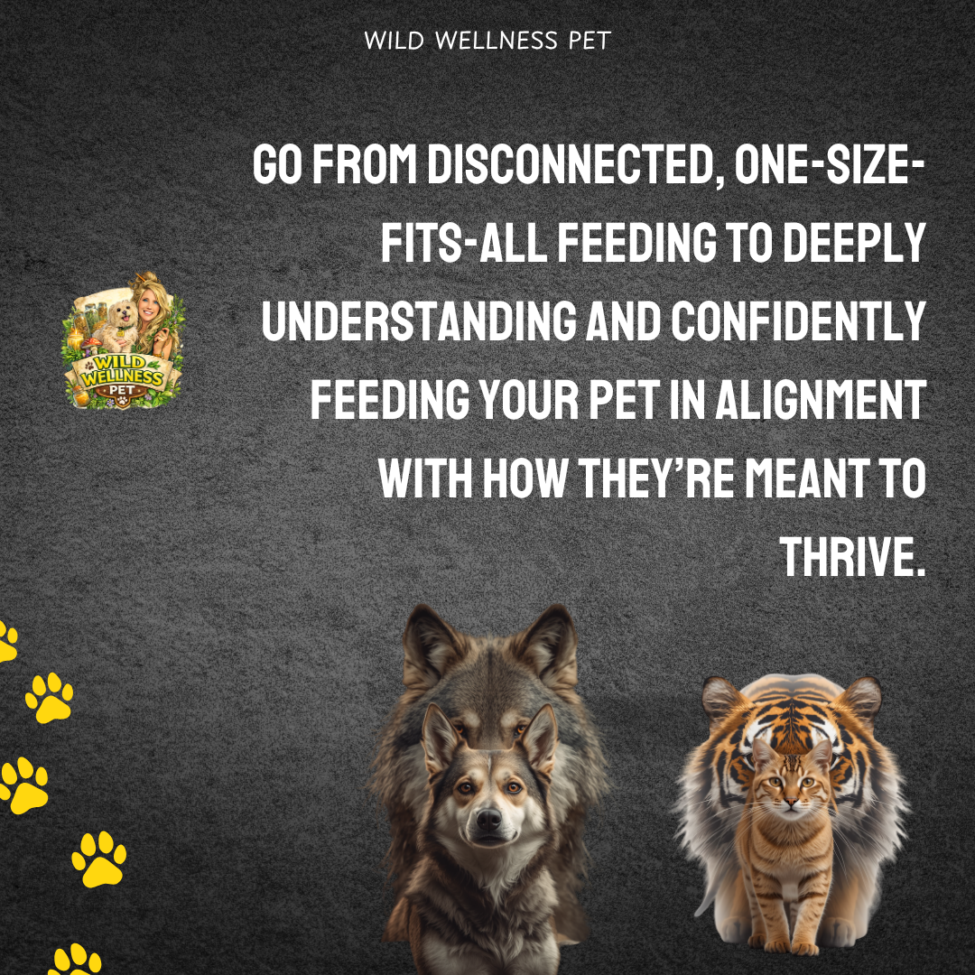 ReWild Your Pet’s Diet — 6 Month Holistic Nutrition Mentorship