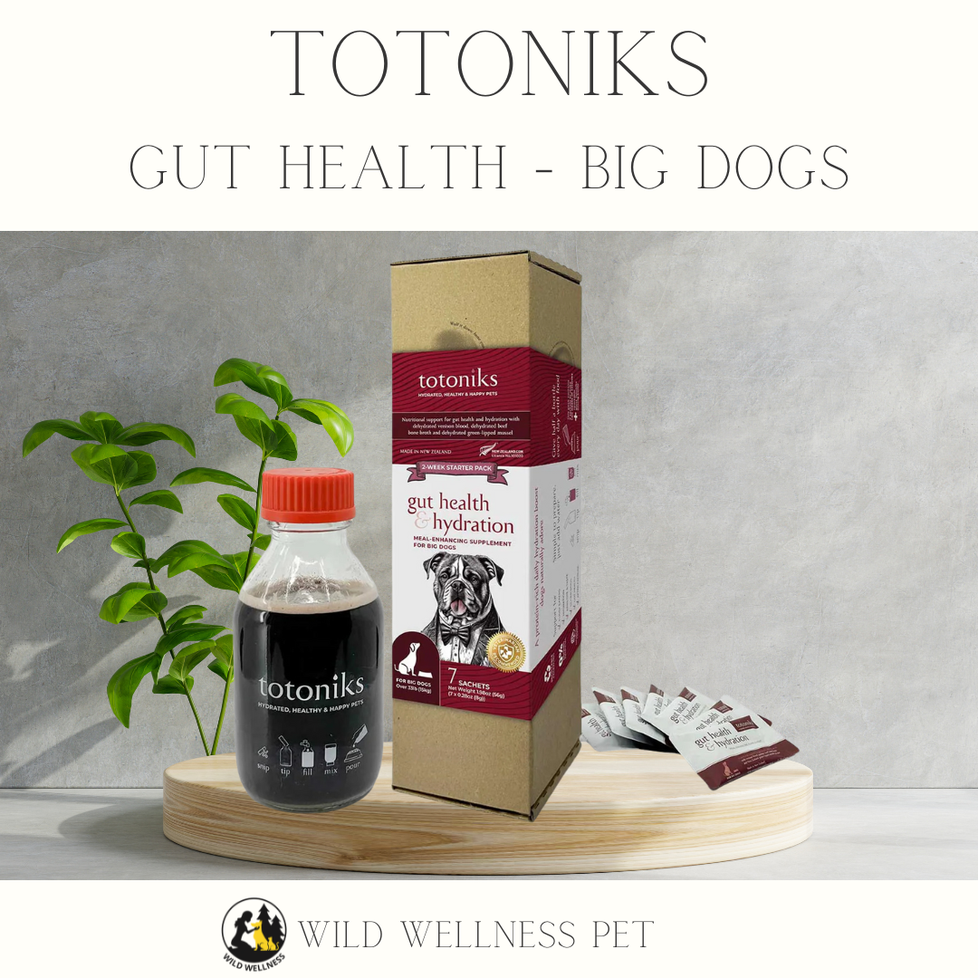 Totoniks Gut Health + Hydration — Big Dogs (Starter or Refill)