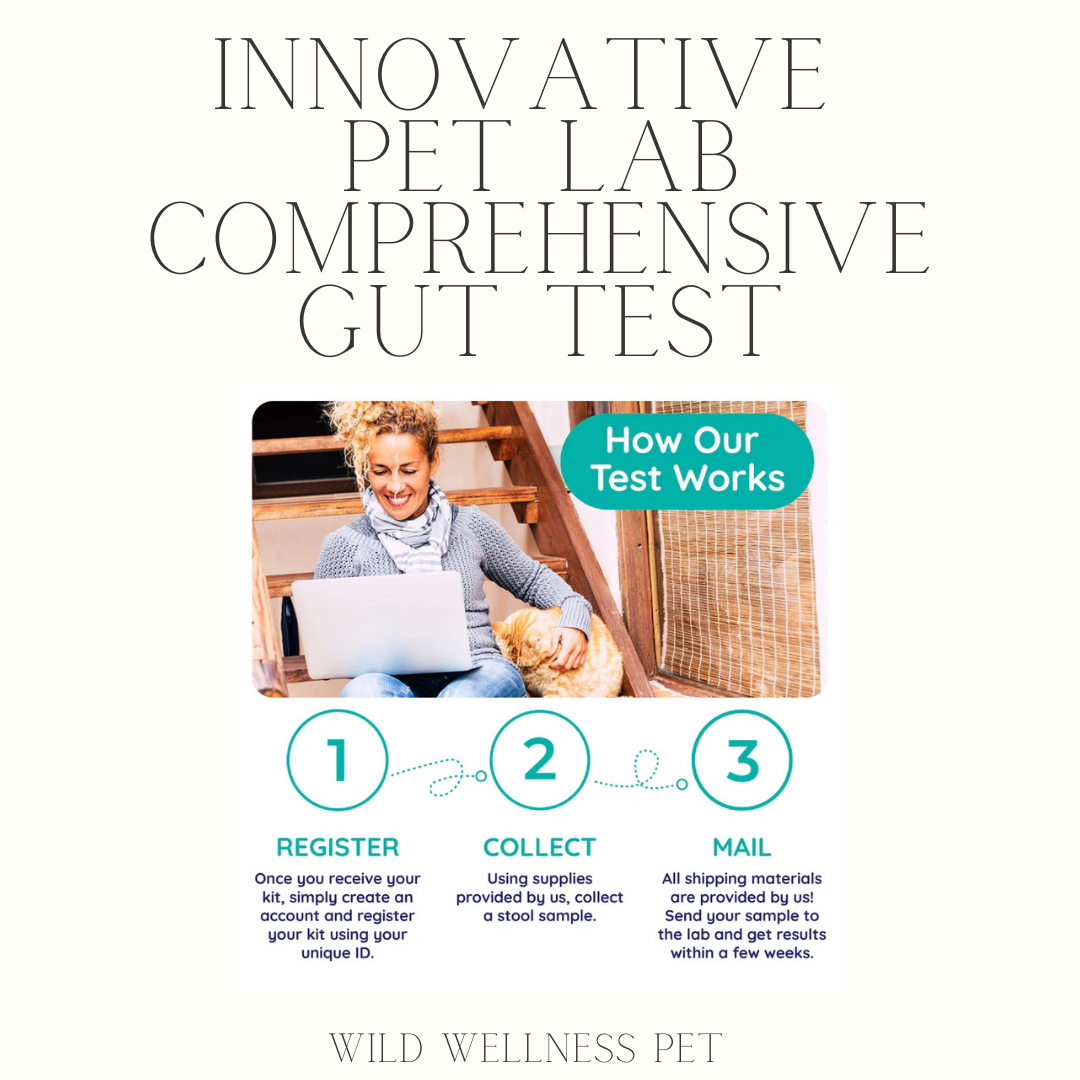 Comprehensive Gut Health Test for Dogs & Cats - Innovative Pet Lab
