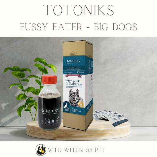 Totoniks Fussy Eater + Hydration — Big Dogs (Starter or Refill)
