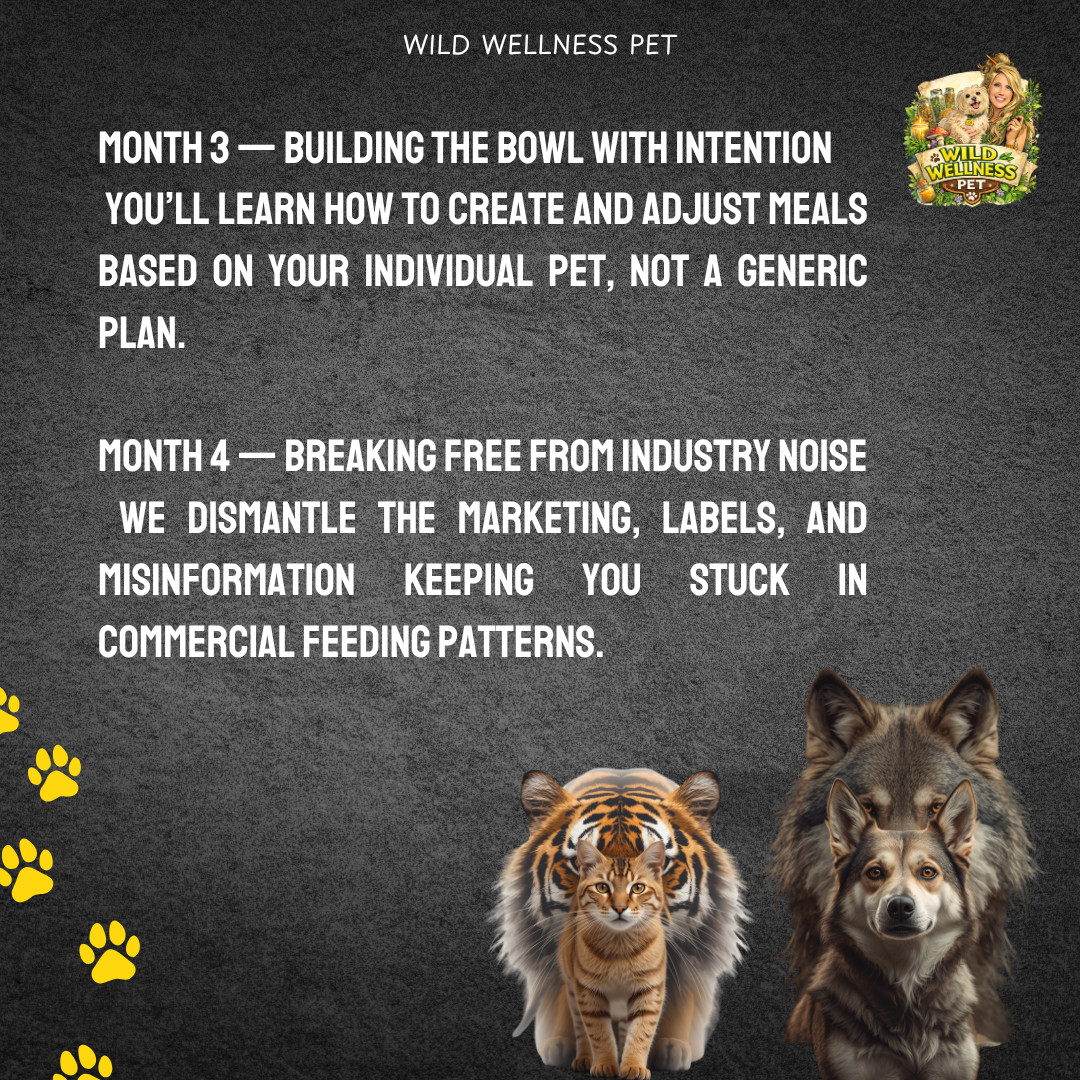 ReWild Your Pet’s Diet — 6 Month Holistic Nutrition Mentorship