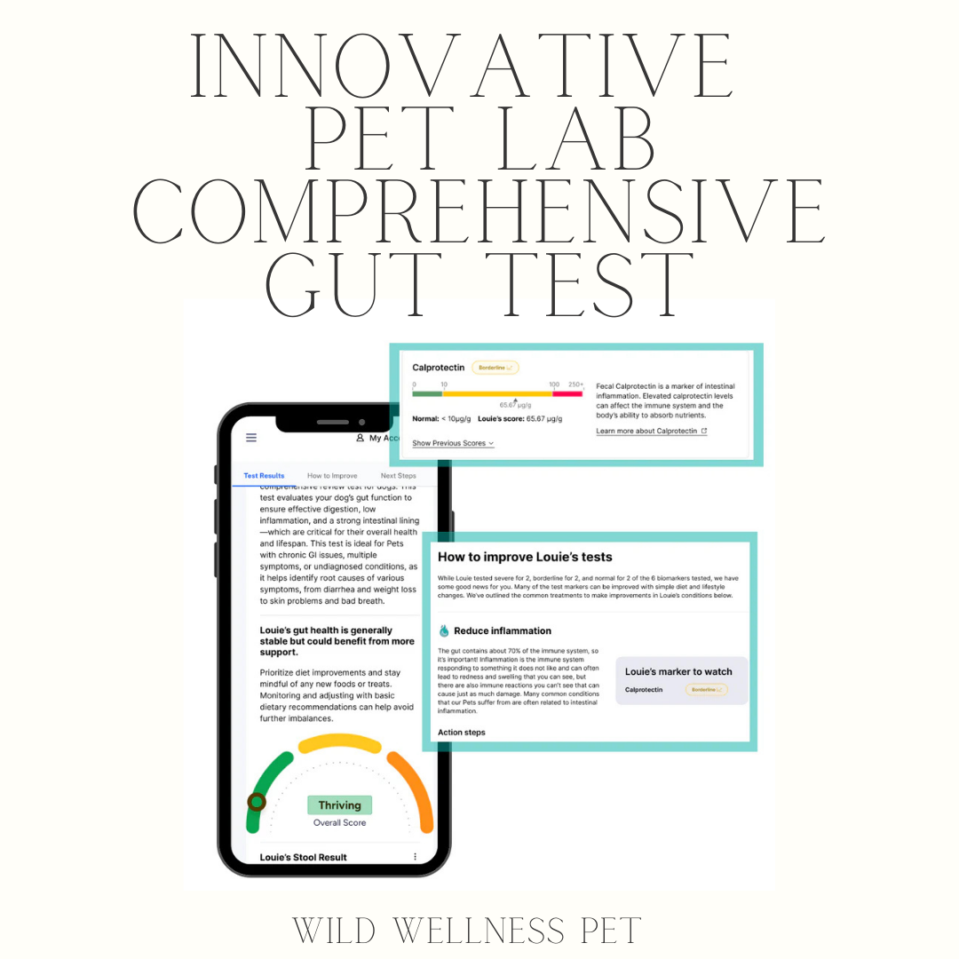 Comprehensive Gut Health Test for Dogs & Cats - Innovative Pet Lab
