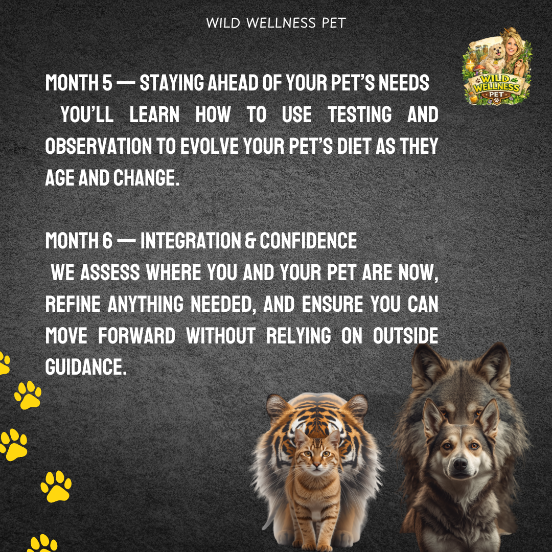 ReWild Your Pet’s Diet — 6 Month Holistic Nutrition Mentorship