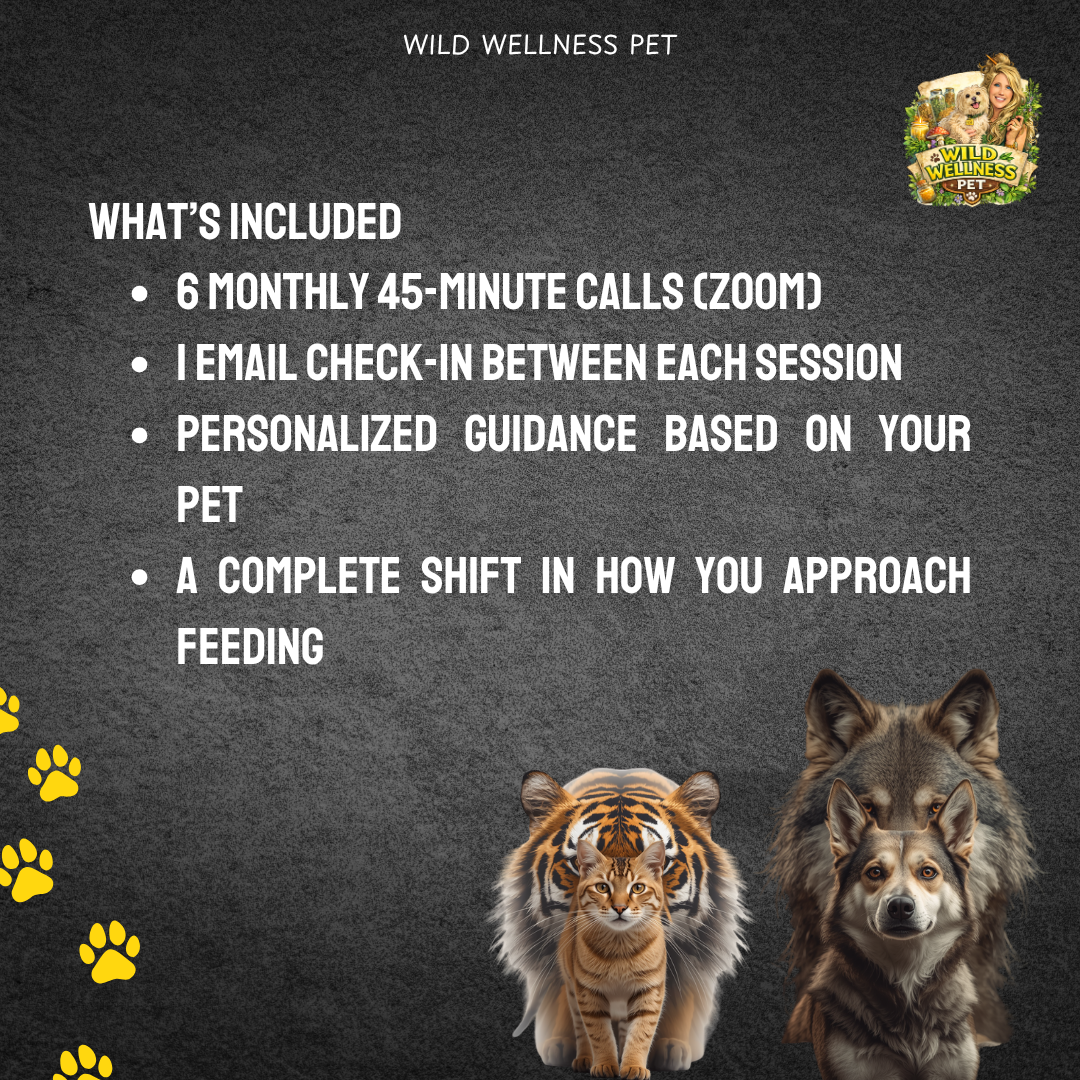 ReWild Your Pet’s Diet — 6 Month Holistic Nutrition Mentorship