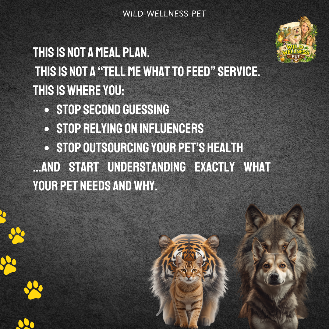 ReWild Your Pet’s Diet — 6 Month Holistic Nutrition Mentorship