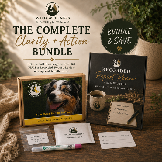 Wild Wellness Bioenergetics Bundle – Test Kit + Recorded Report Review