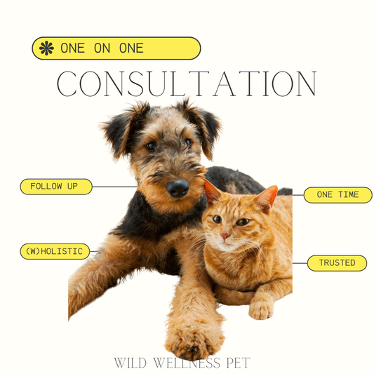 Pet Health & Nutrition Consultation - Single Call