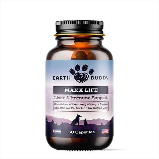 Maxx Life Glutathione for Dogs & Cats — Antioxidant + Immune Support
