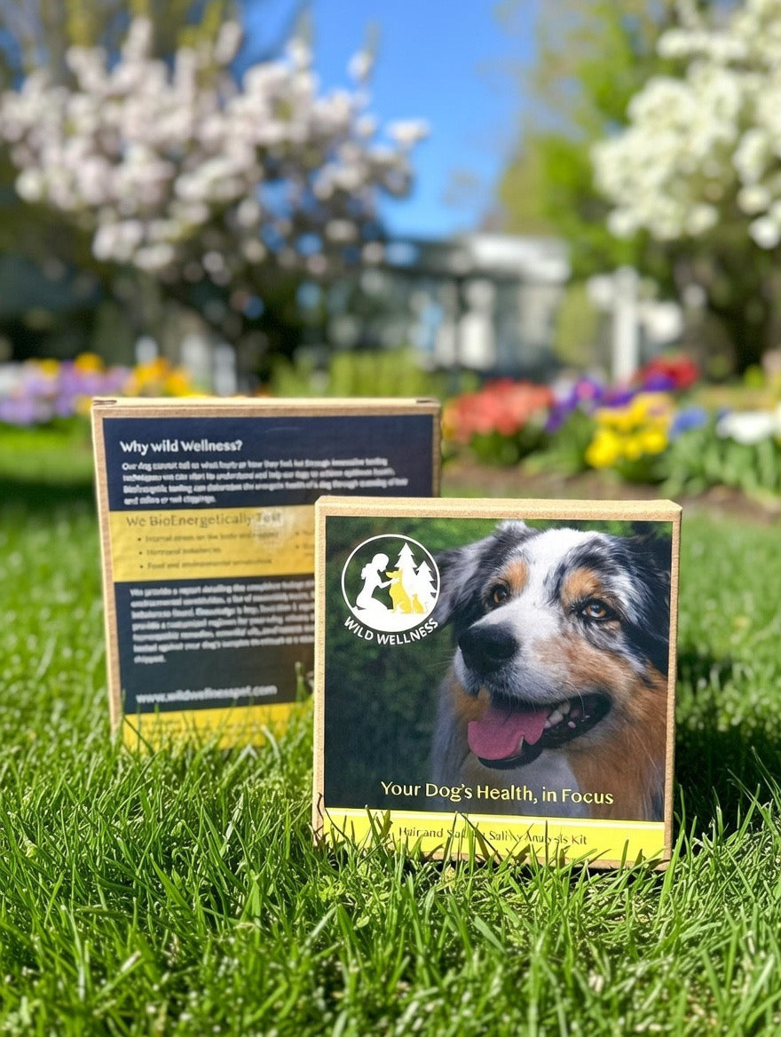 Bioenergetic Sensitivity Testing for Dogs, Full Scan - Wild Wellness powered by Pet Medella