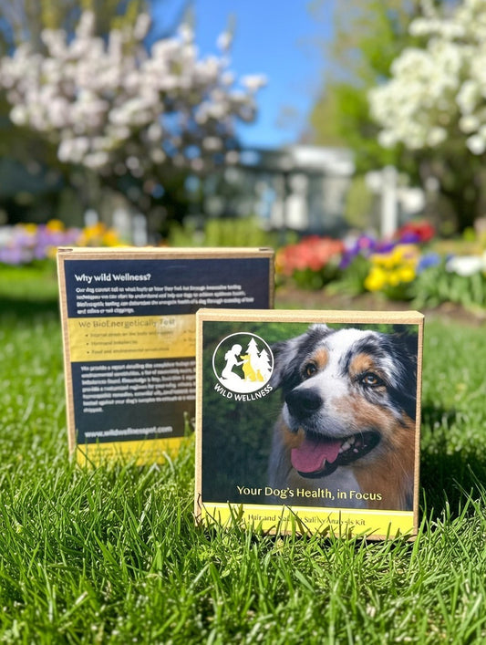 Bioenergetic Sensitivity Testing for Dogs, Full Scan - Wild Wellness powered by Pet Medella