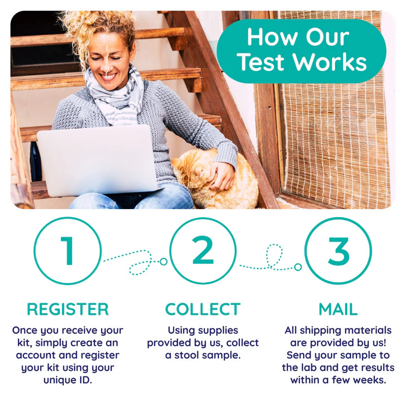 Innovative Pet Lab Parasite Test – At‑Home Stool Screen for Dogs & Cats