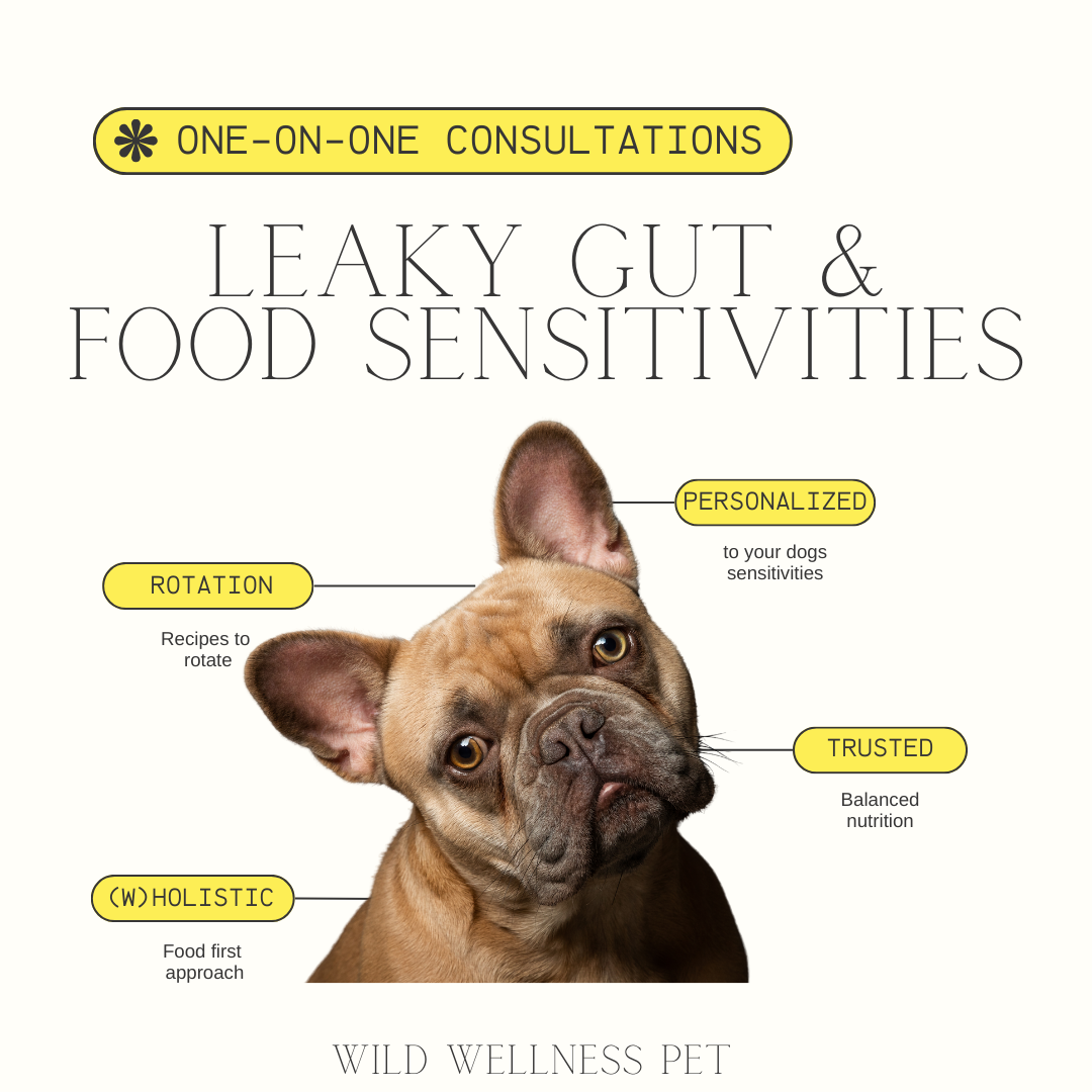 Leaky Gut & Food Sensitivities Intensive (Dogs)