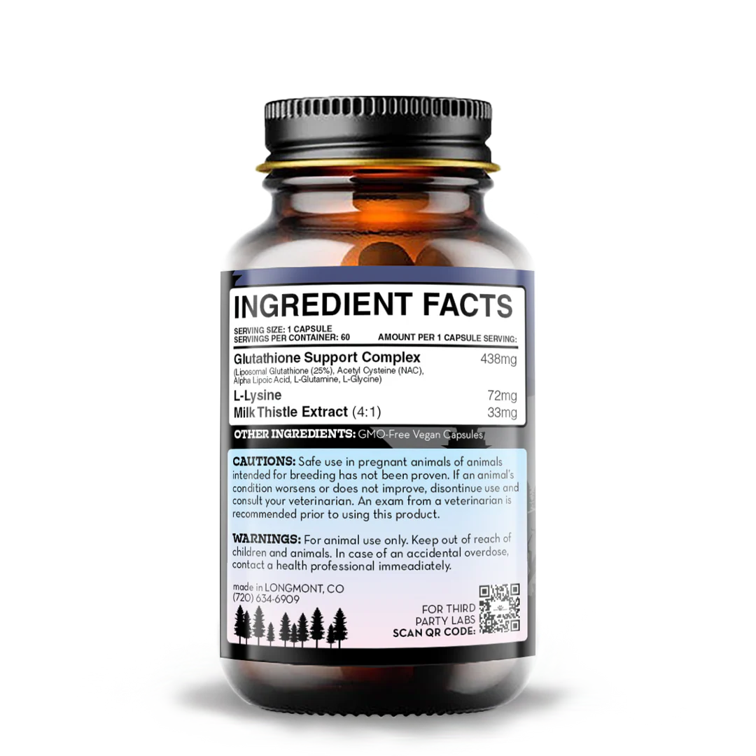 Liposomal Glutathione for Dogs — Liver Detox & Antioxidant Support (EarthBuddy)