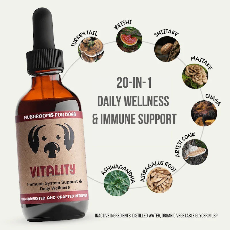 Vitality by MycoDog – Mushroom & Adaptogen Tincture for Dogs (Immune, Cellular & Long‑Term Wellness)