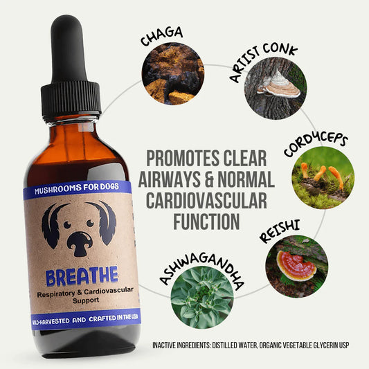 Breathe by MycoDog – Mushroom & Adaptogen Tincture for Dogs (Respiratory & Heart Support)