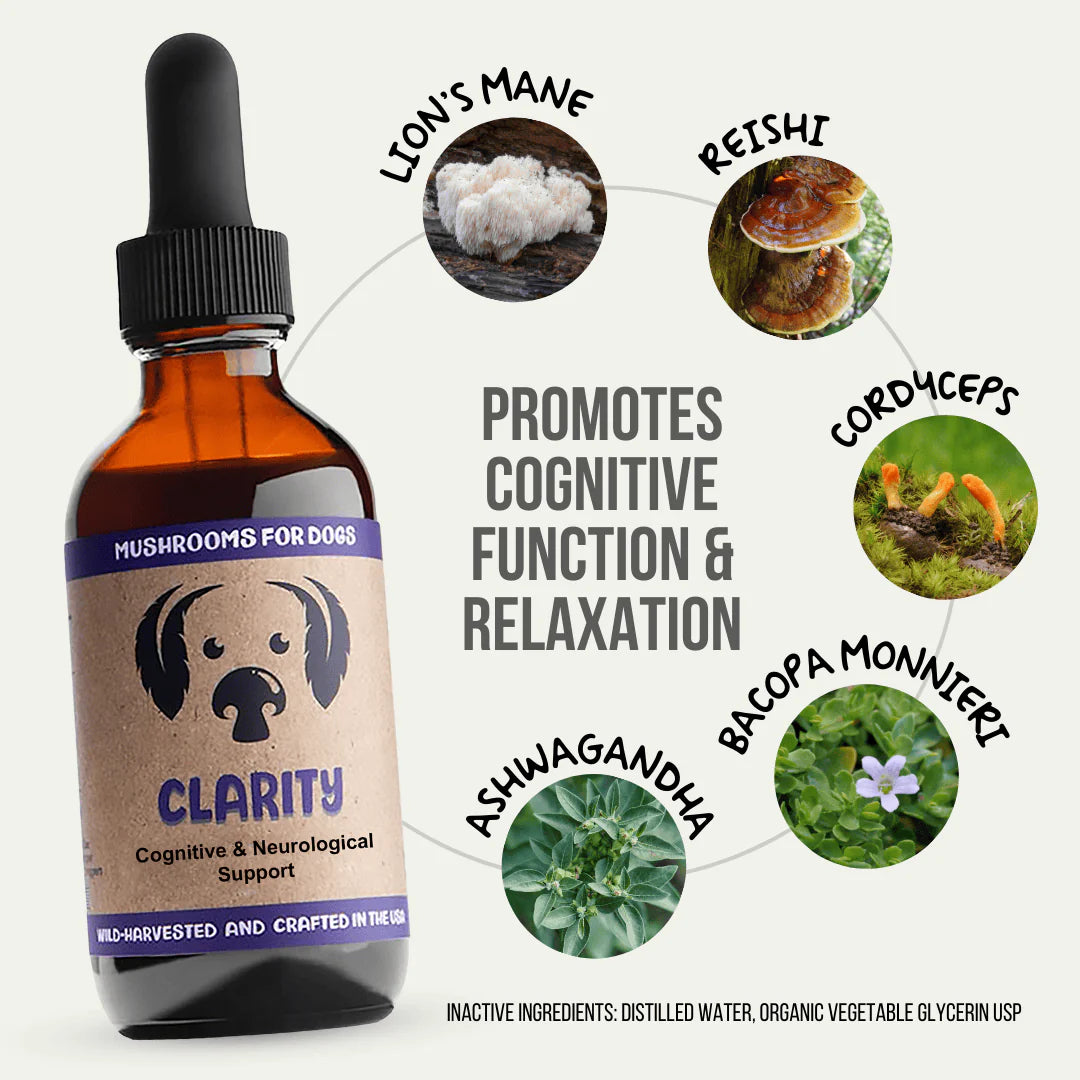 Clarity by MycoDog – Mushroom & Adaptogen Tincture for Dogs (Brain, Nerves & Emotional Balance)