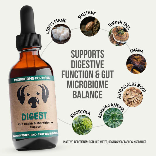 Digest by MycoDog – Mushroom & Adaptogen Tincture for Dogs (Gut & Microbiome Support)