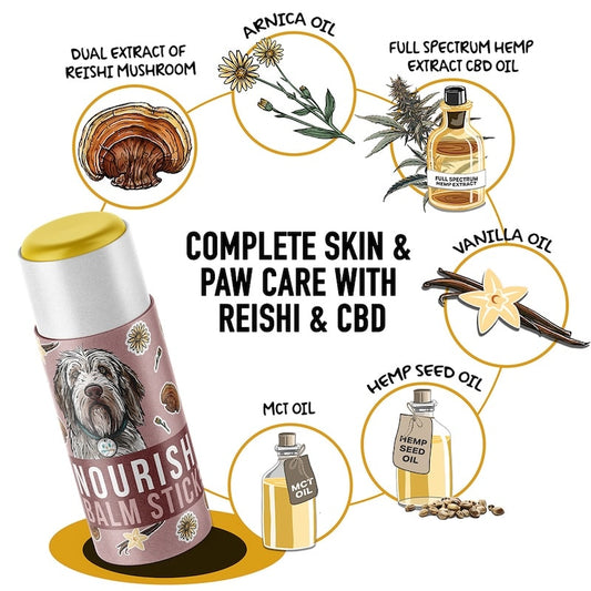 Nourish Balm Stick by MycoDog – Reishi & Botanical Skin + Paw Care for Dogs
