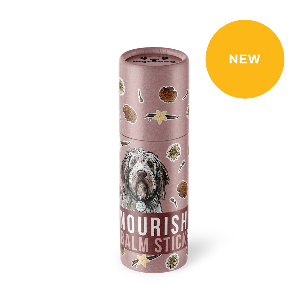 Nourish Balm Stick by MycoDog – Reishi & Botanical Skin + Paw Care for Dogs